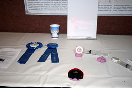 2010 Apparatus Competition 1st Place - 'A Lens to Demonstrate Accomodation in the Focusing of the Human Eye'