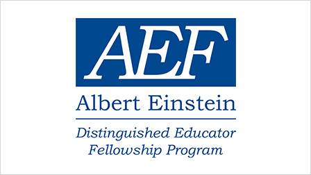 Einstein Fellowship Banner