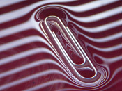photo contest winner of paper clip