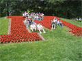 IMG_1698-01.jpg