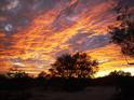 'Tucson Sunset' by Audrey Renee Cortesi