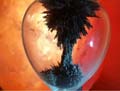 'Sands of Time Suspended' by Grady Orland Thompson