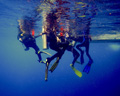 'Half-Body Divers' by Emily Kayla Grabovac